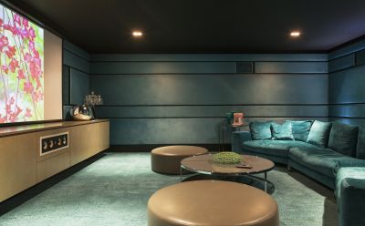 Home Theater Speaker Service